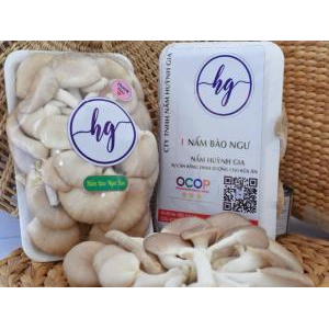 Nấm Bào Ngư Xám Huỳnh Gia – Vỉ 250gr