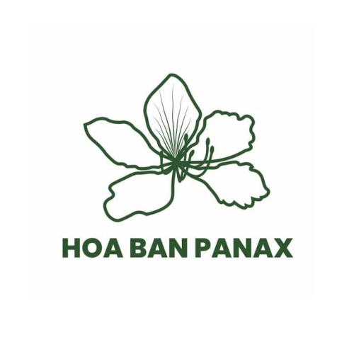 Công Ty TNHH Hoa Ban Lai Châu