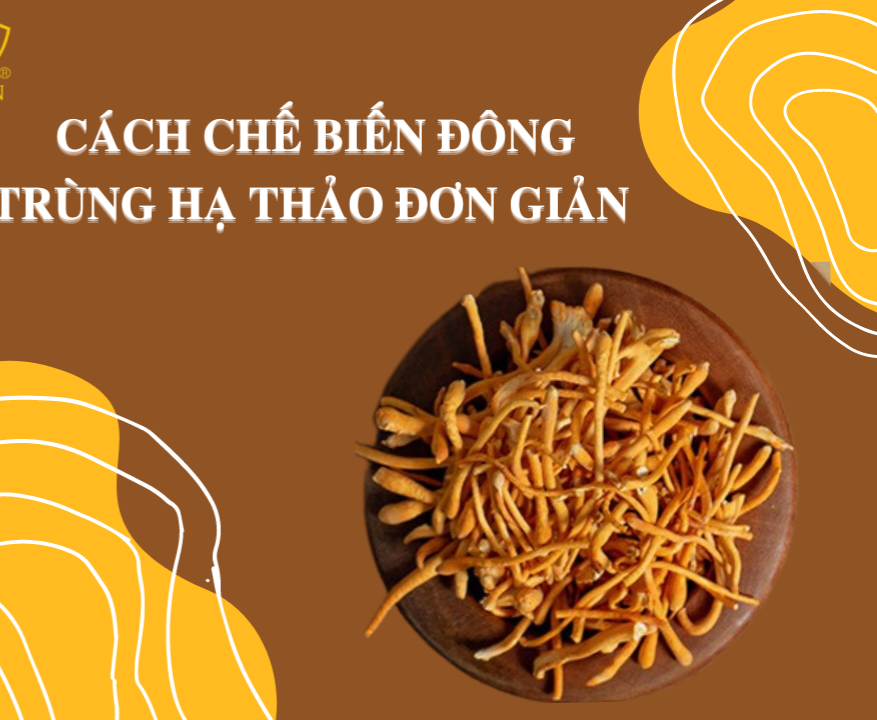 Cách sử dụng đông trùng hạ thảo tươi