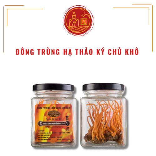 Đông Trùng Hạ Thảo Ký Chủ Khô