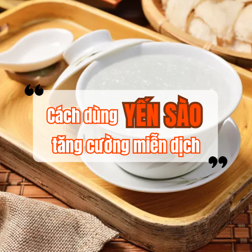 Cách Dùng Yến Sào Giúp Tăng Cường Miễn Dịch Hiệu Quả
